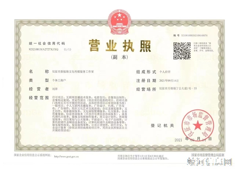 抖音网络语音主播（日结不露脸）